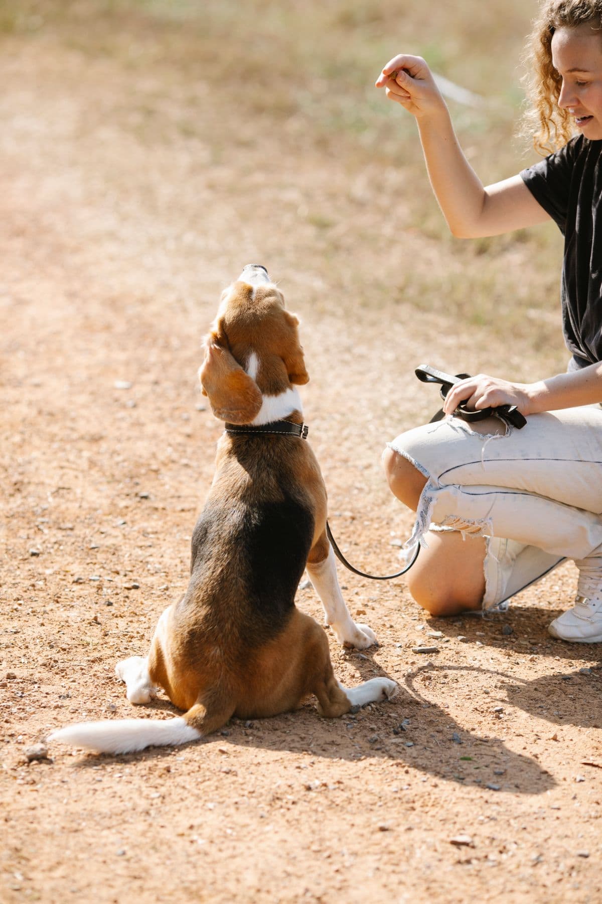 A person training a dog outdoors with a treat
